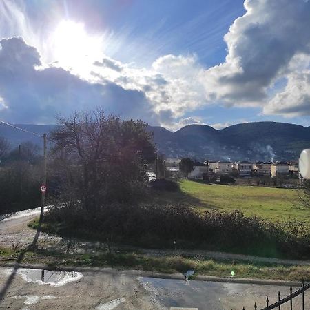 Amaltheia Studio Lägenhet Ioánnina Exteriör bild